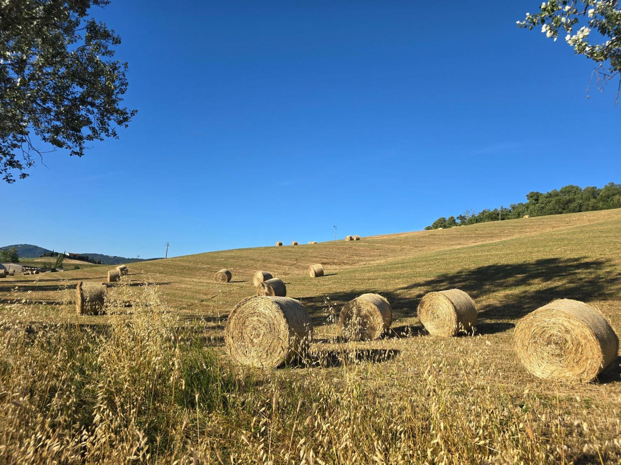 Apartamento Finestra Della Val D'Orcia Contignano Exterior foto